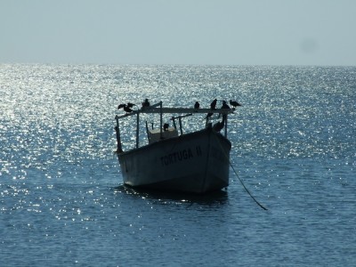 Blick auf die Bucht von Taganga