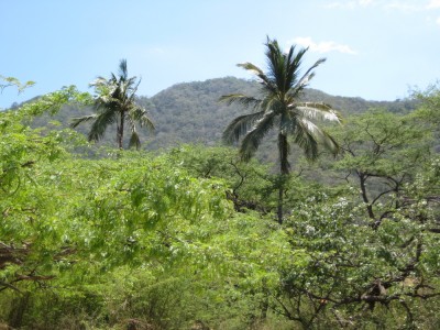 Szene Bahia Concha beim Tayrona Nationalpark
